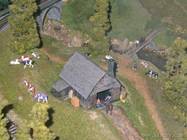 svet_12.jpg